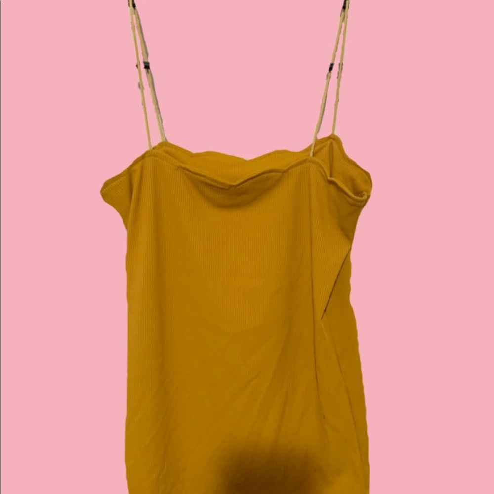 Yellow Scallop Tank